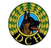 DcH logo.png